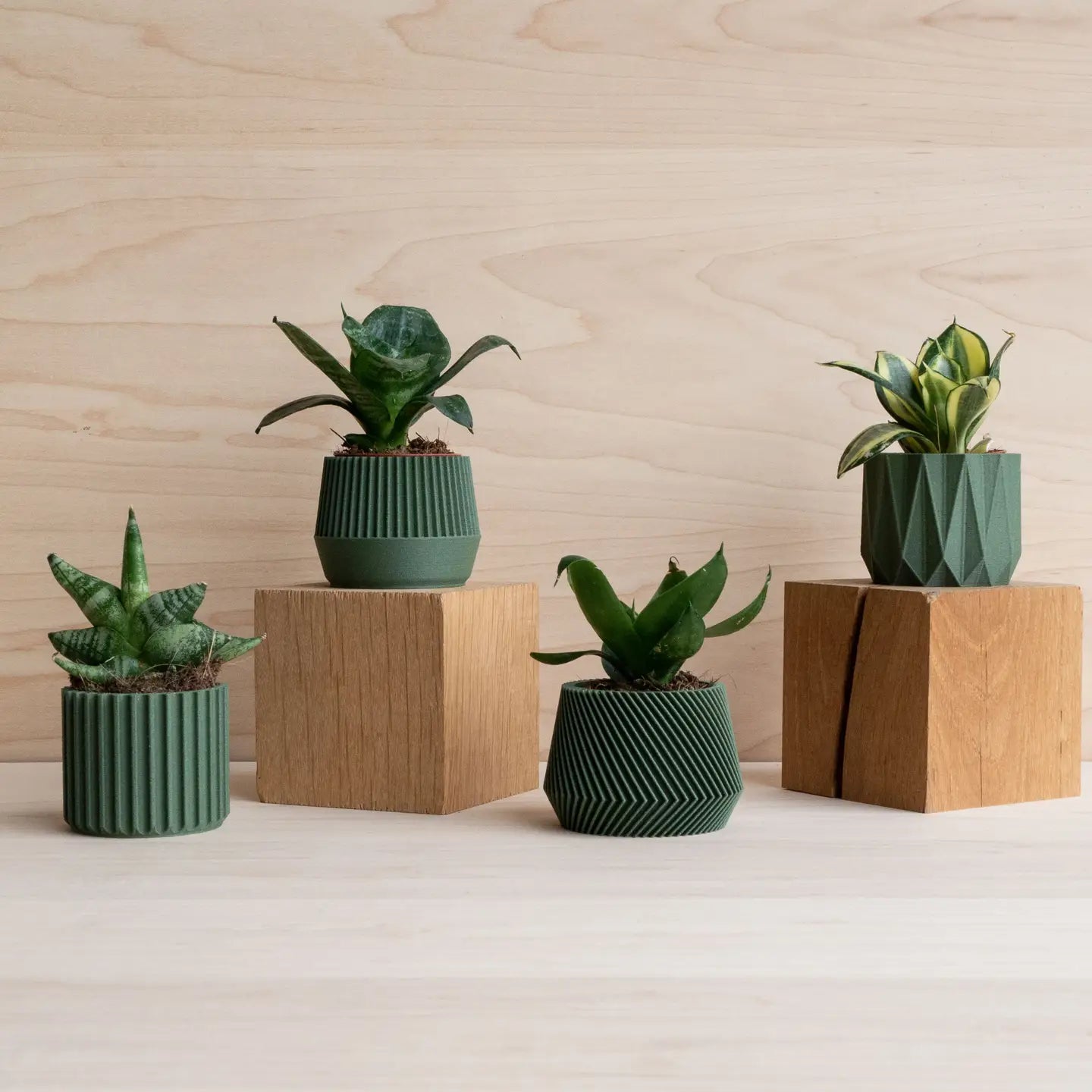 eco friendly planter pots Eco-friendly 3D Printed Mini 2" Planter