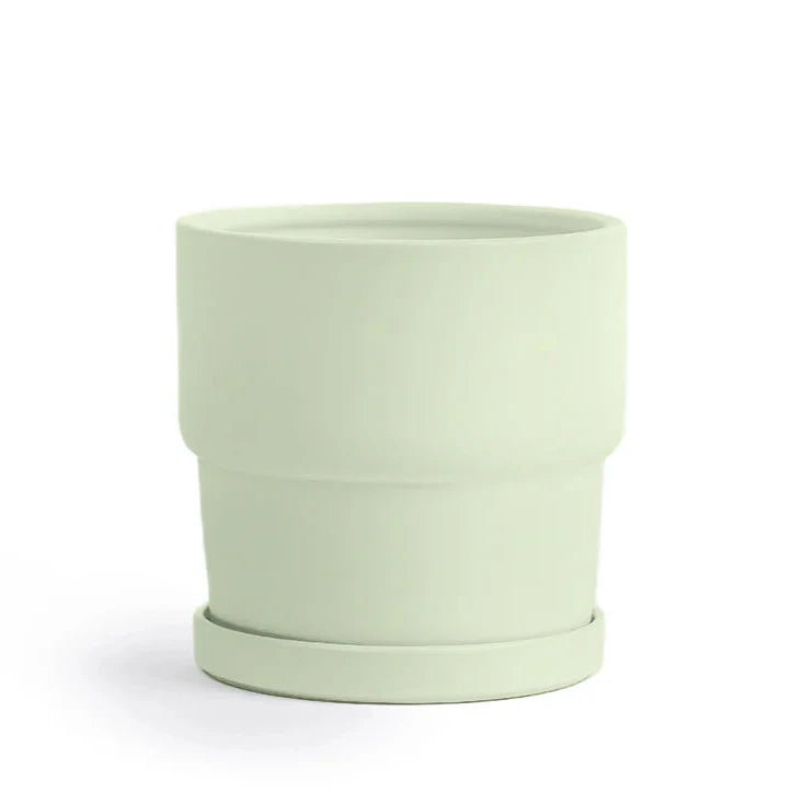 cylinder plastic planter Calyx 6" Tiered Ceramic Cylinder Planter with Plate – Neighborly