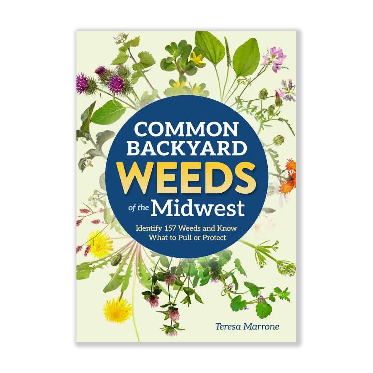 Common Backyard Weeds of the Midwest Book