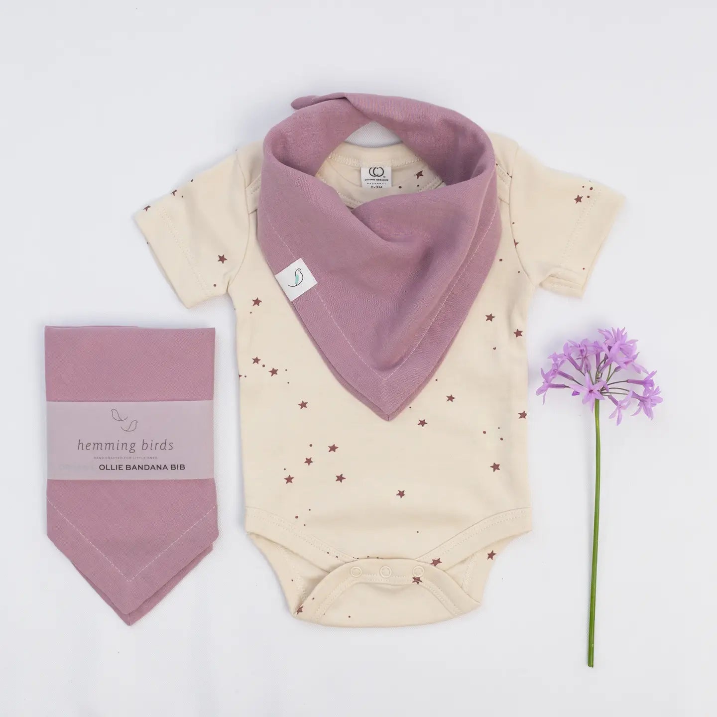 Organic Cotton Baby Bandana Bib