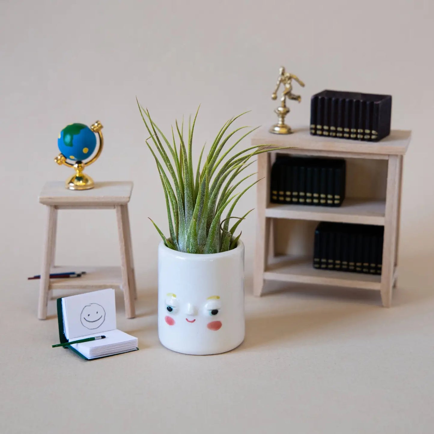 Face Mini Ceramic Air Plant Holder