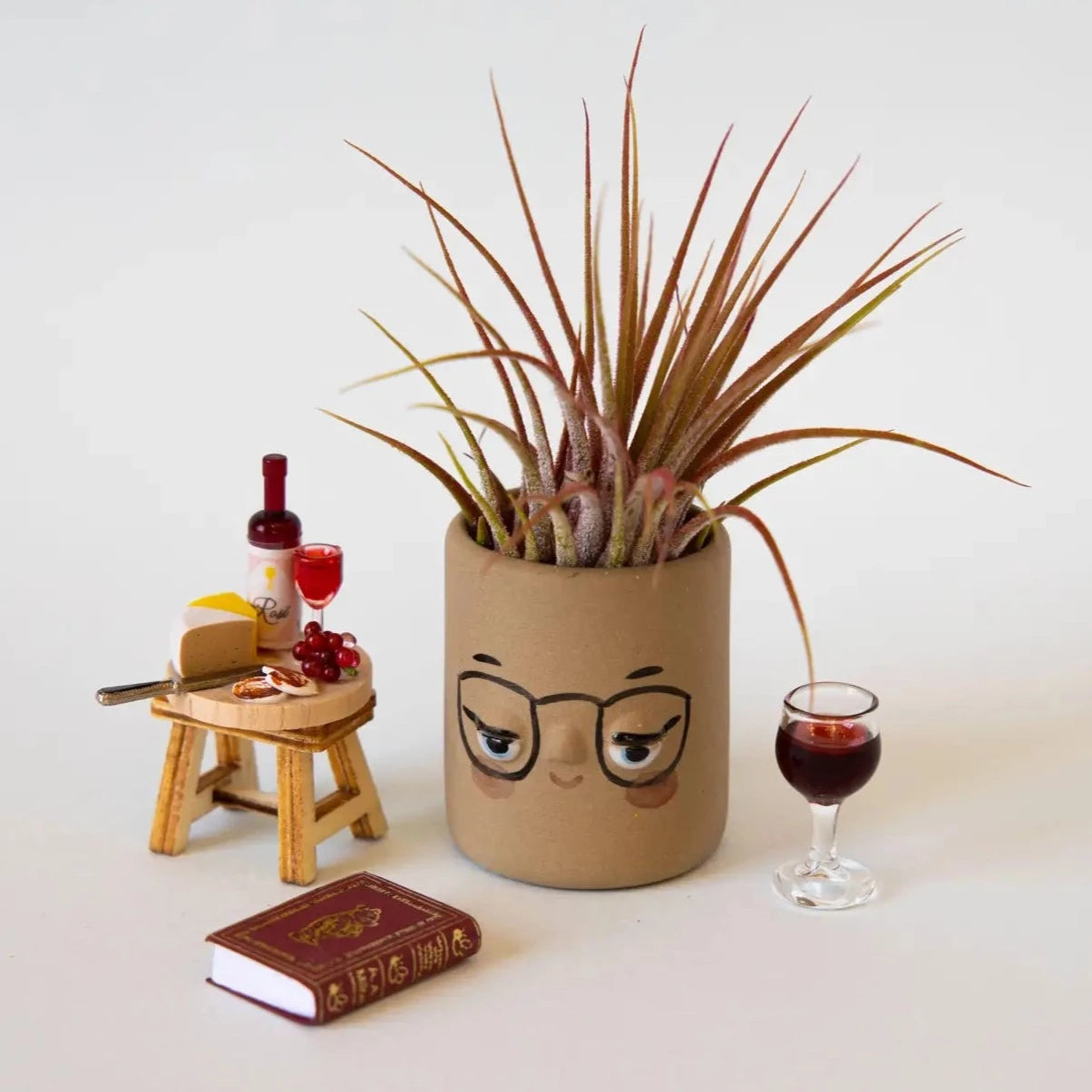 Face Mini Ceramic Air Plant Holder