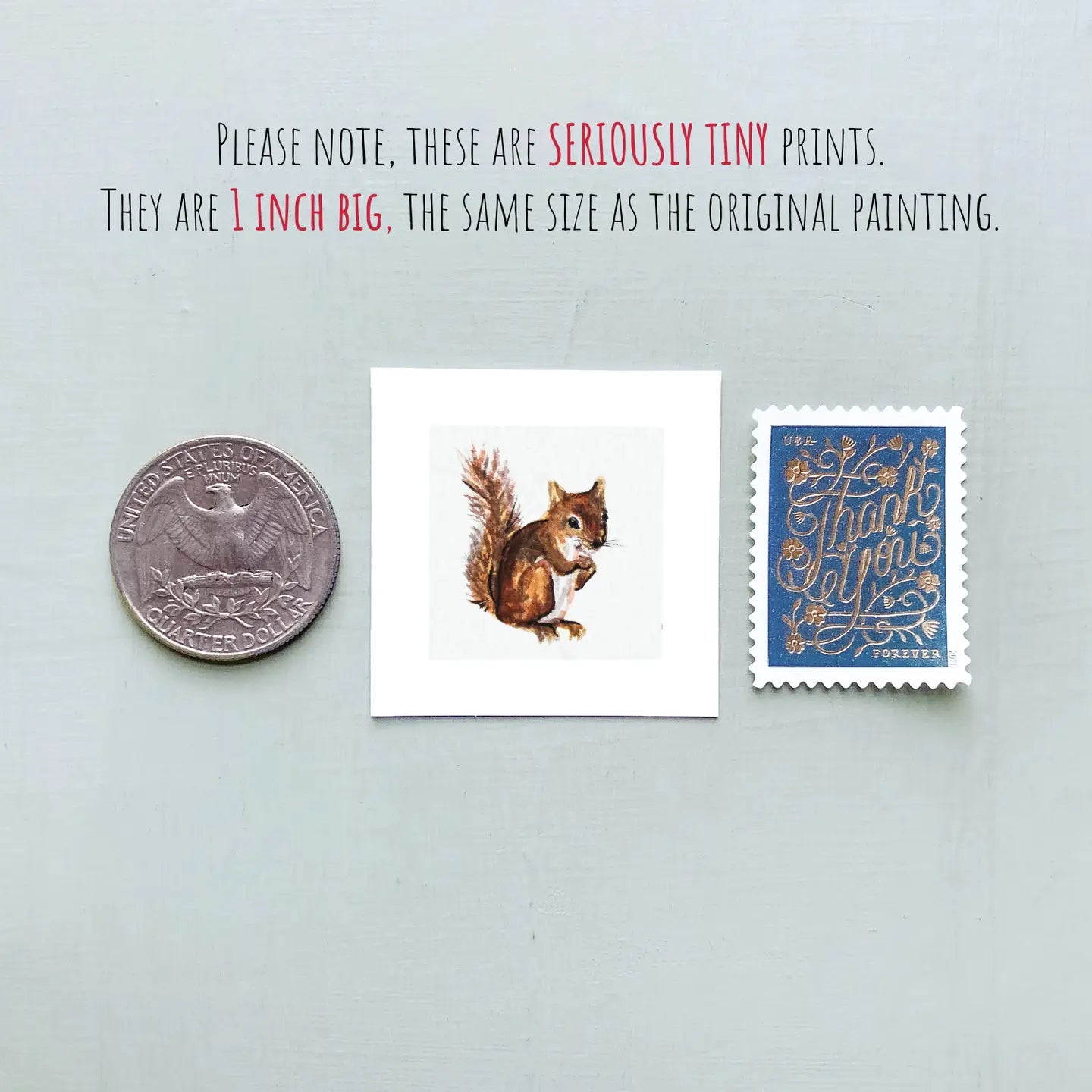 Squirrel Mini 1" Framed Art Print