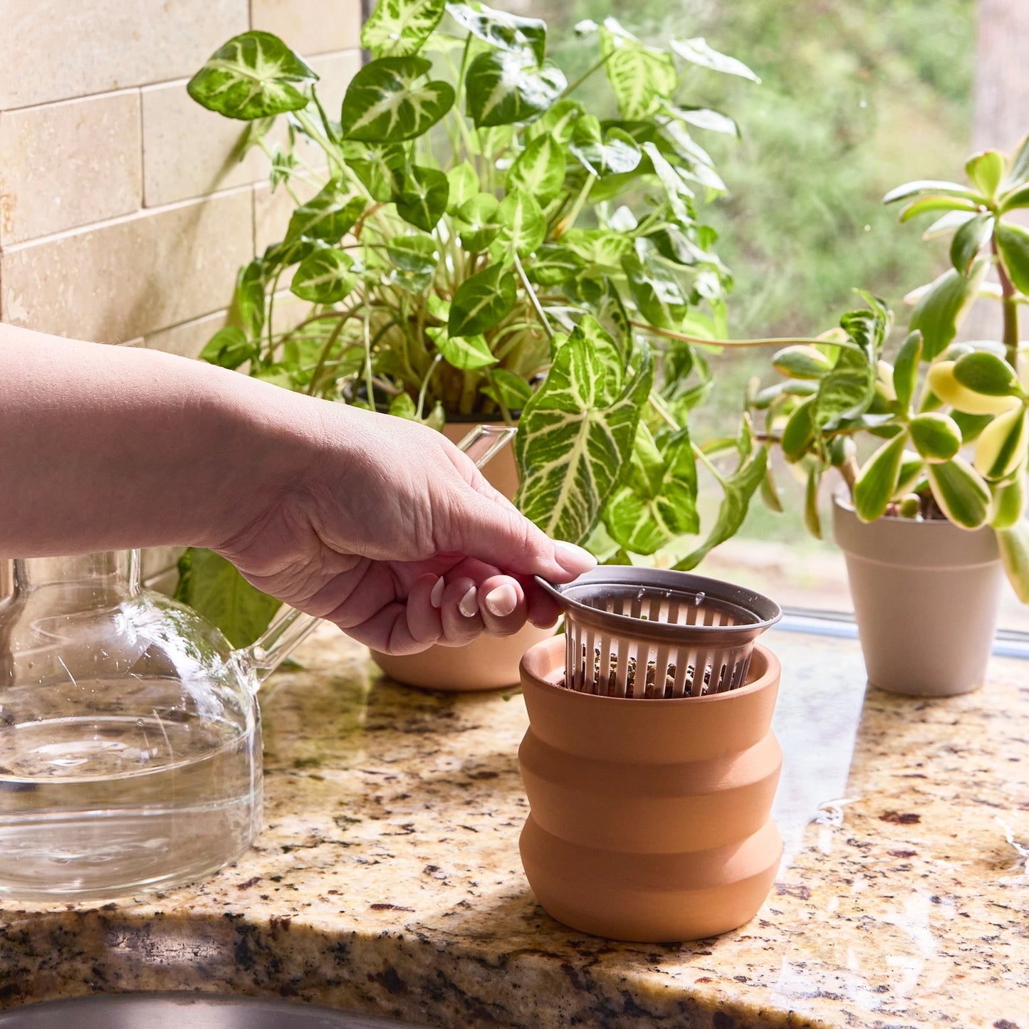 Tiny Terracotta Grow Kit