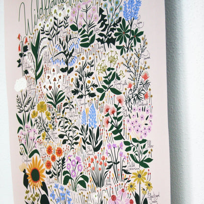 Wildflowers of North America 16" x 20" Poster