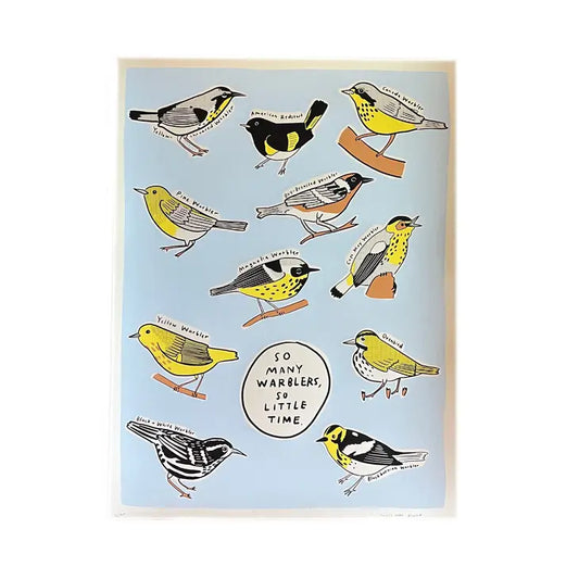 So Many Warblers So Little Time 18" x 24" Illustrated Screenprint