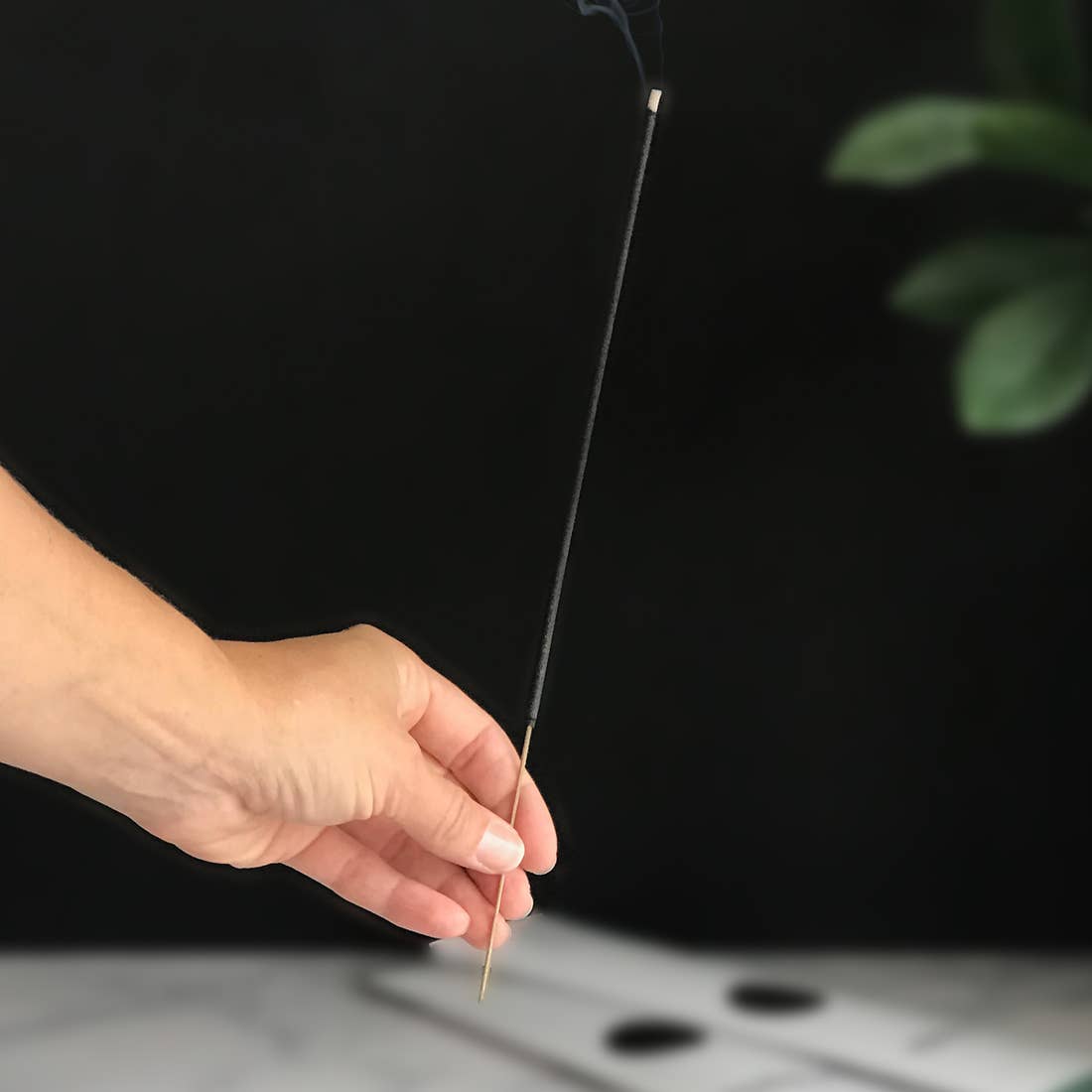 Canopy Teakwood, Waterlily, & Eucalyptus Incense Sticks (Pack of 20)