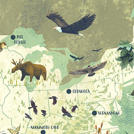 National Parks of the USA 16" x 24" Giclée Print