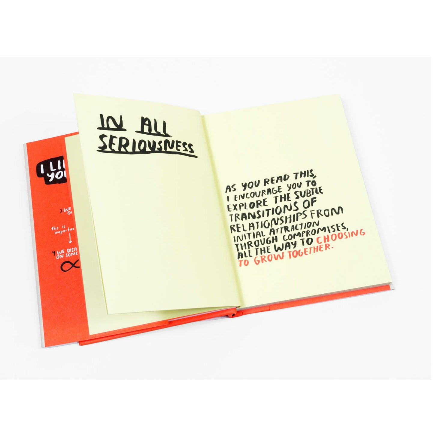 I Like You, I Love You Book