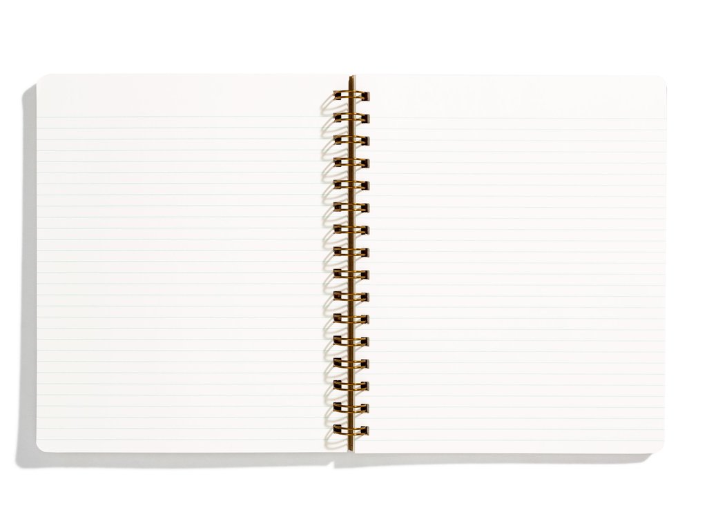 The Standard Spiral Ruled or Blank Notebook