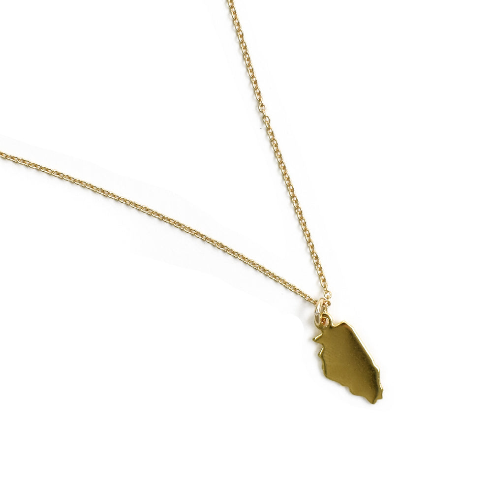 Midwest State Charm Necklace