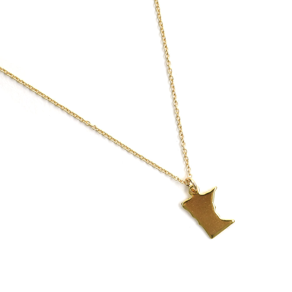 Midwest State Charm Necklace