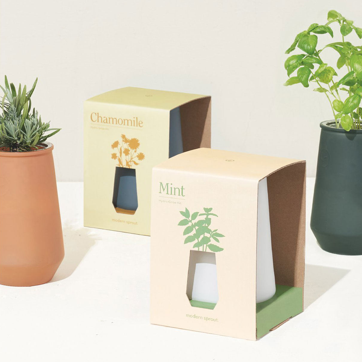 indoor plant grow kit Modern Sprout Tapered Tumbler
