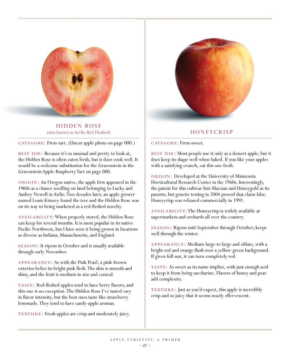 The Apple Lover's Cookbook