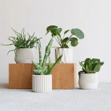 Eco-friendly 3D Printed Mini 2" Planter