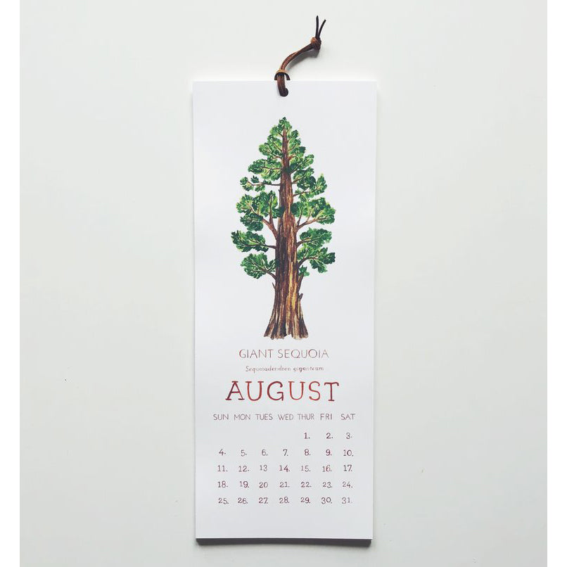 2024 Trees Of North America Wall Calendar Neighborly   2024 Trees North America Wall Calendar Illustration Gift Erin Vaughan 2 