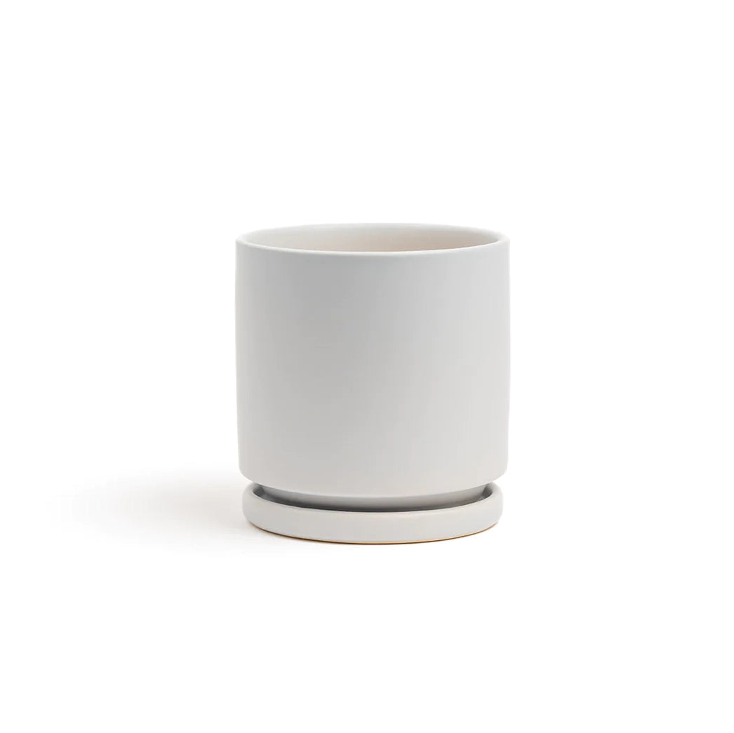 cylinder pot planter 4.5" Gemstone Cylinder Pot with Water Saucer Stone