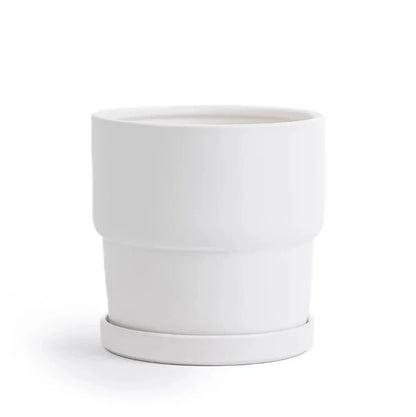 Calyx 4.5" Tiered Ceramic Cylinder Planter with Plate