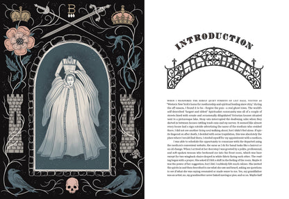 The Secrets of the Seance Society Book