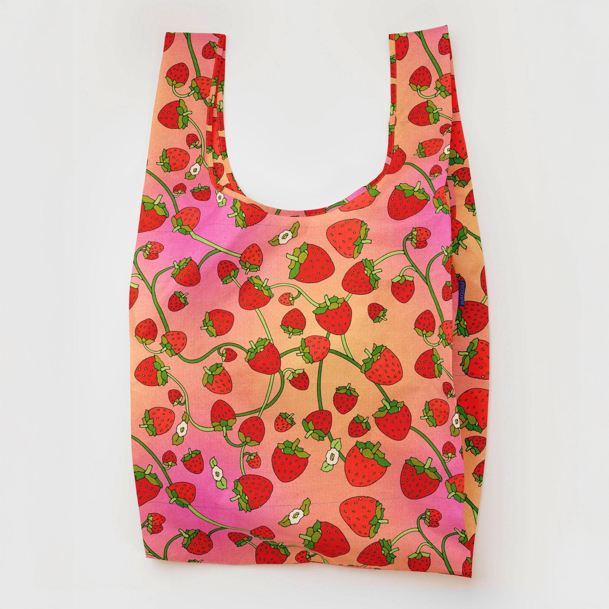 Big Baggu