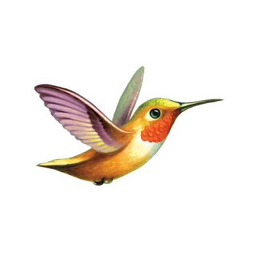 Hummingbird Temporary Tattoo (Pack of 2)