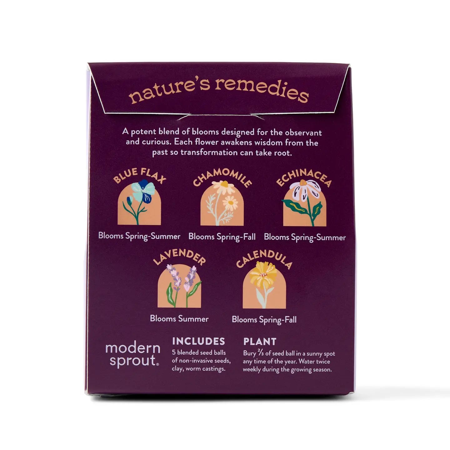 flower seed kit Bespoke Blooms Poet's Garden Seed Balls