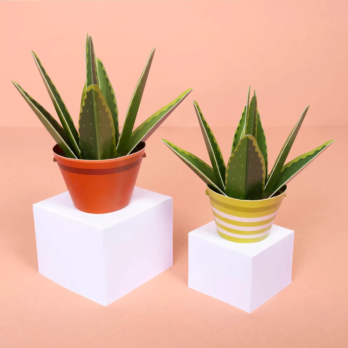 Mini Plant DIY Paper Craft Kit