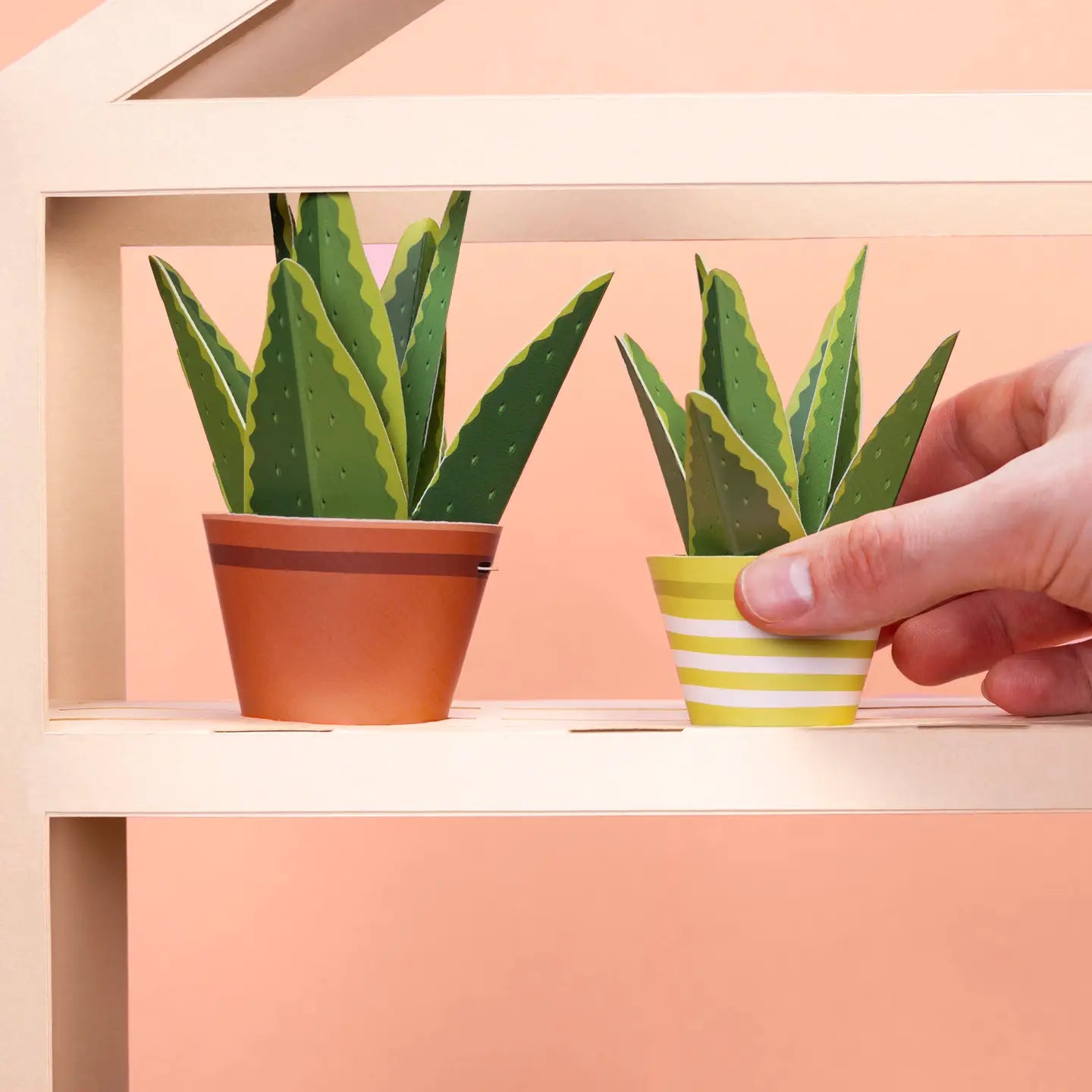 Mini Plant DIY Paper Craft Kit