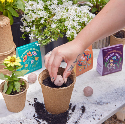 Bespoke Blooms Flower Seed Balls (Pack of 5)