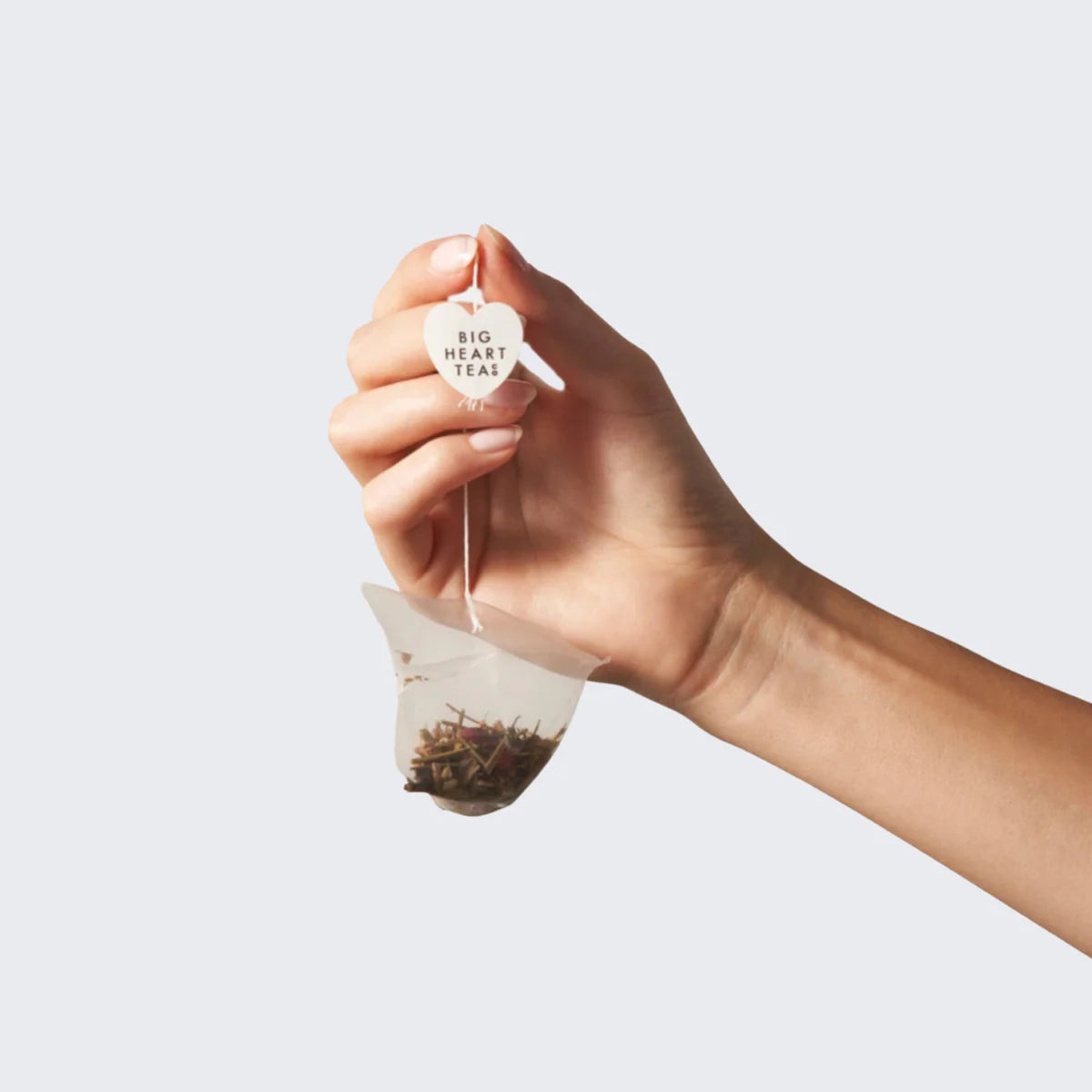 Green Tea Biodegradable Tea Bags (10 Ct.)