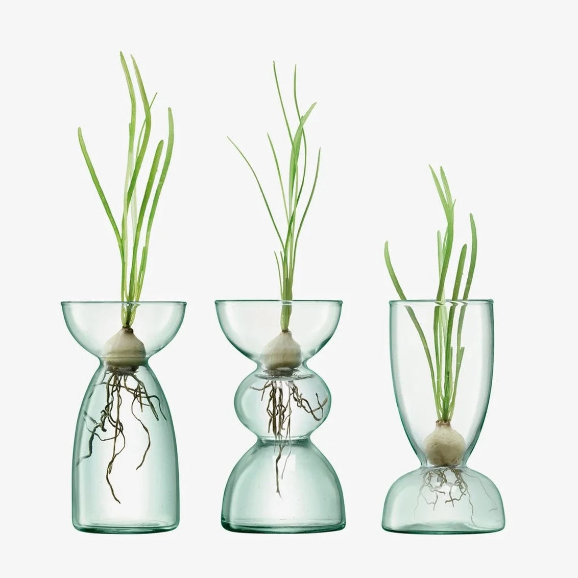 Canopy Handmade Recycled Glass Propagation Vases