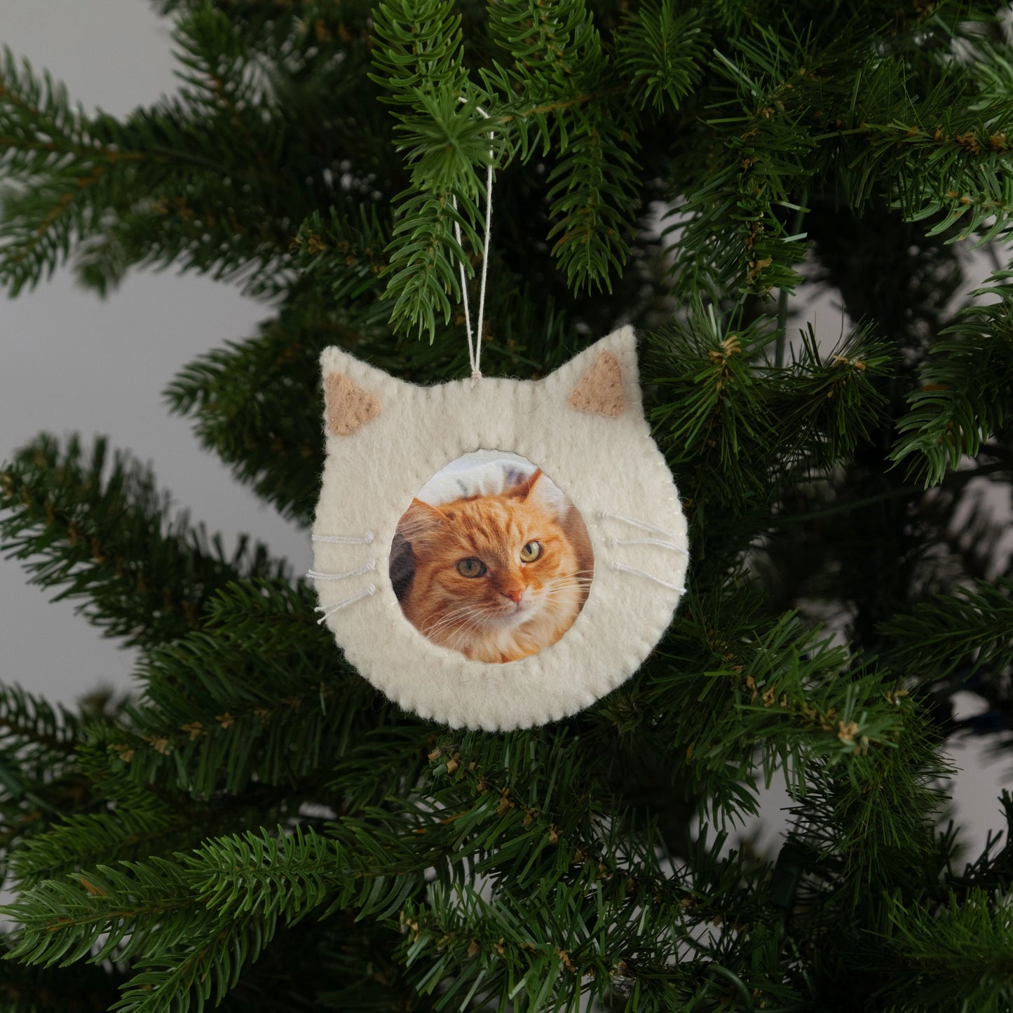 Pet Paw Picture Frame Felt Ornament