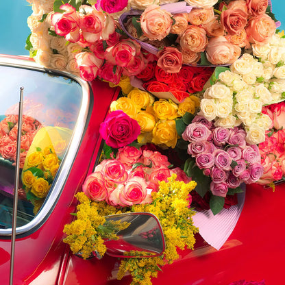 Coming Up Roses 1000 Piece Jigsaw Puzzle