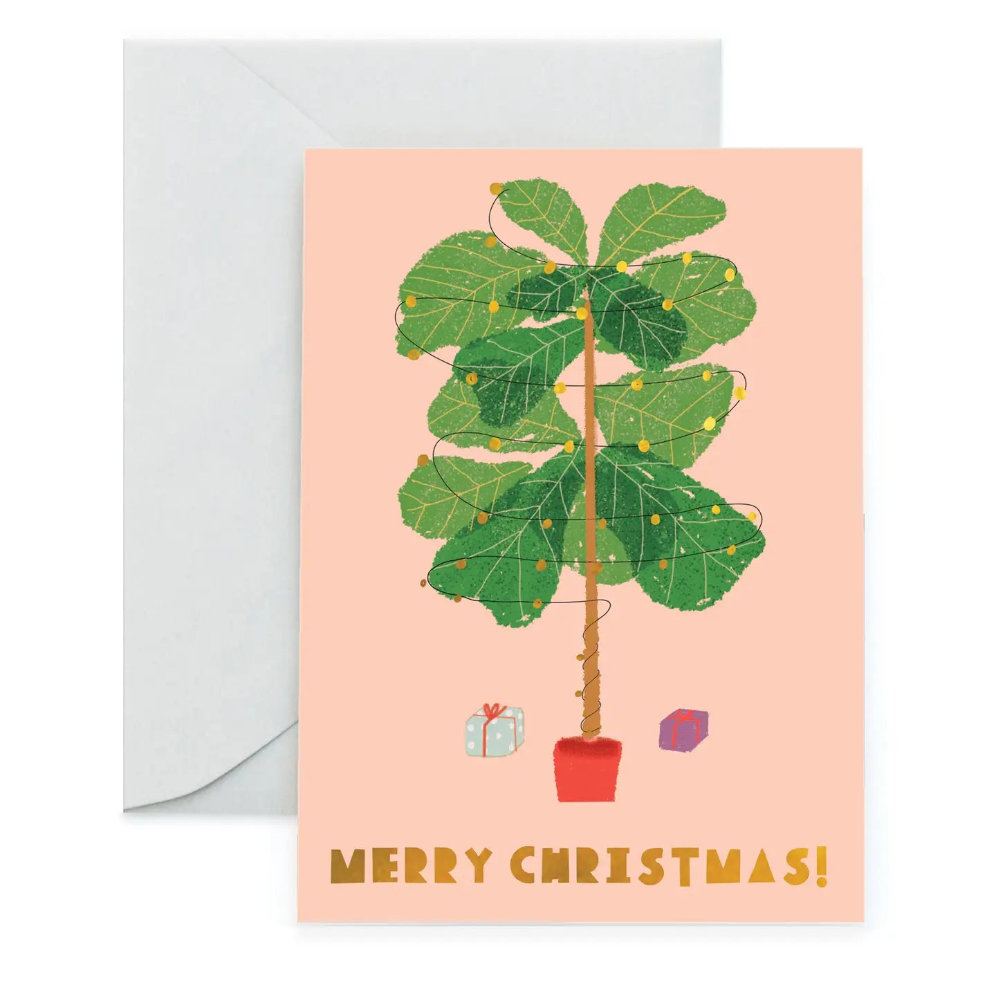 Merry Christmas Ficus Lyrata Holiday Card