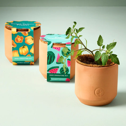 Tiny Terracotta Fruit or Veggie Garden Grow Kit