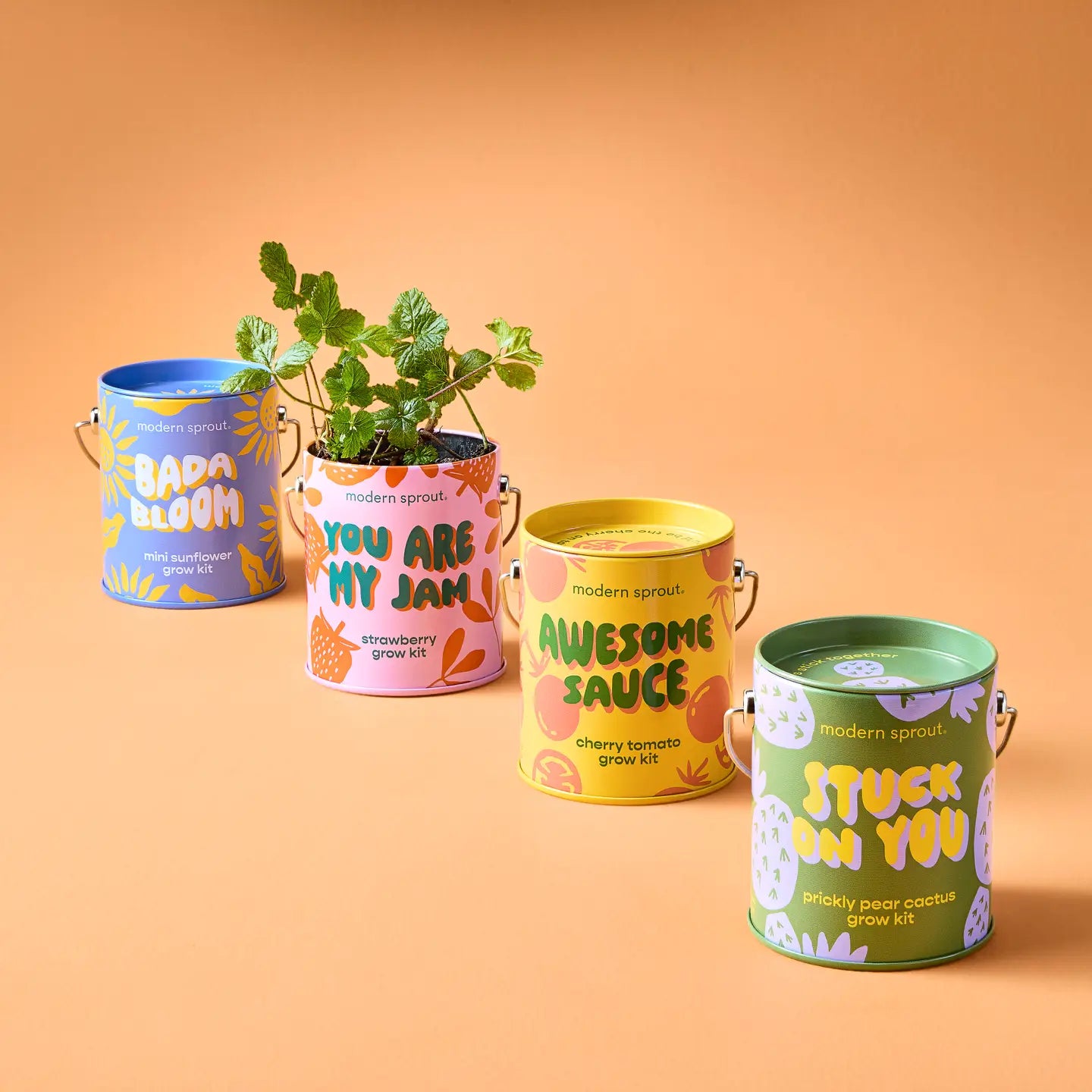 Complimentary Garden Half-Pint Grow Kit