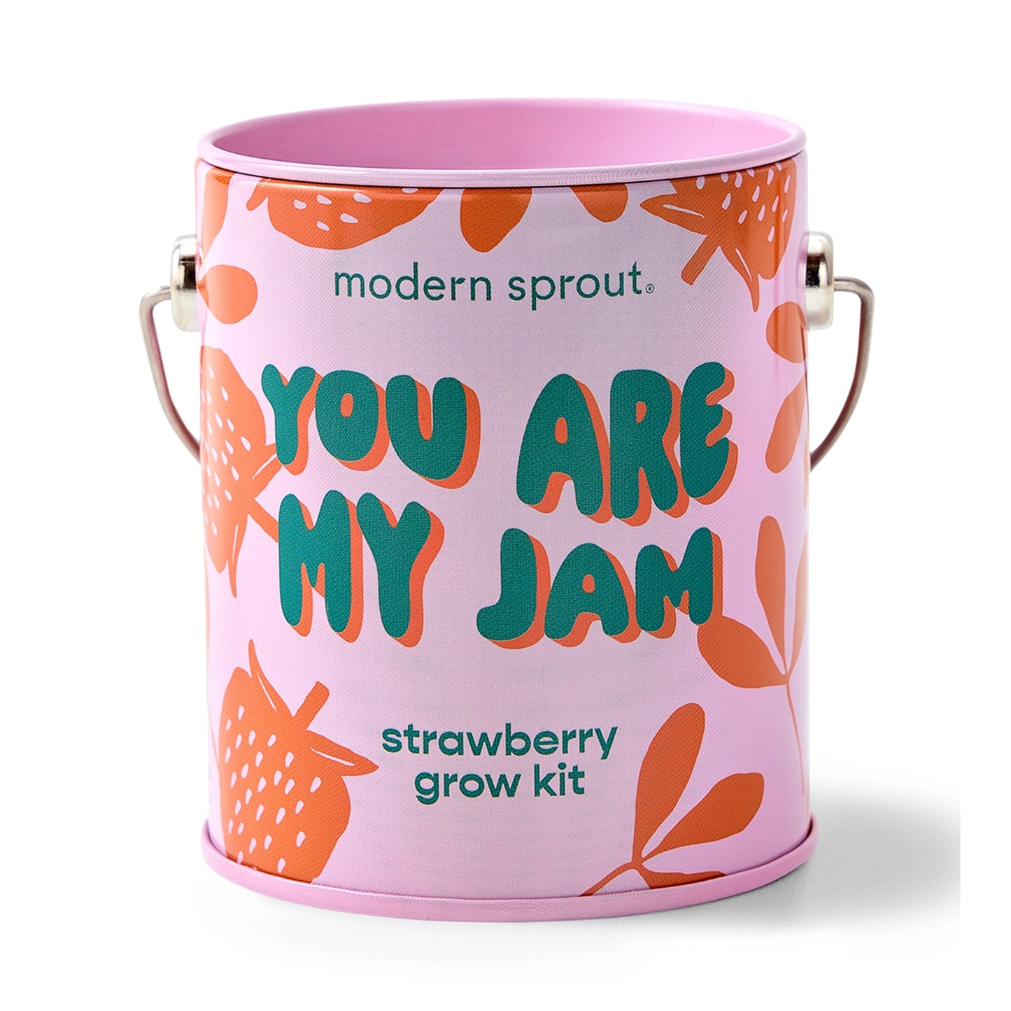 Complimentary Color Paint Can Planter Grow Kit