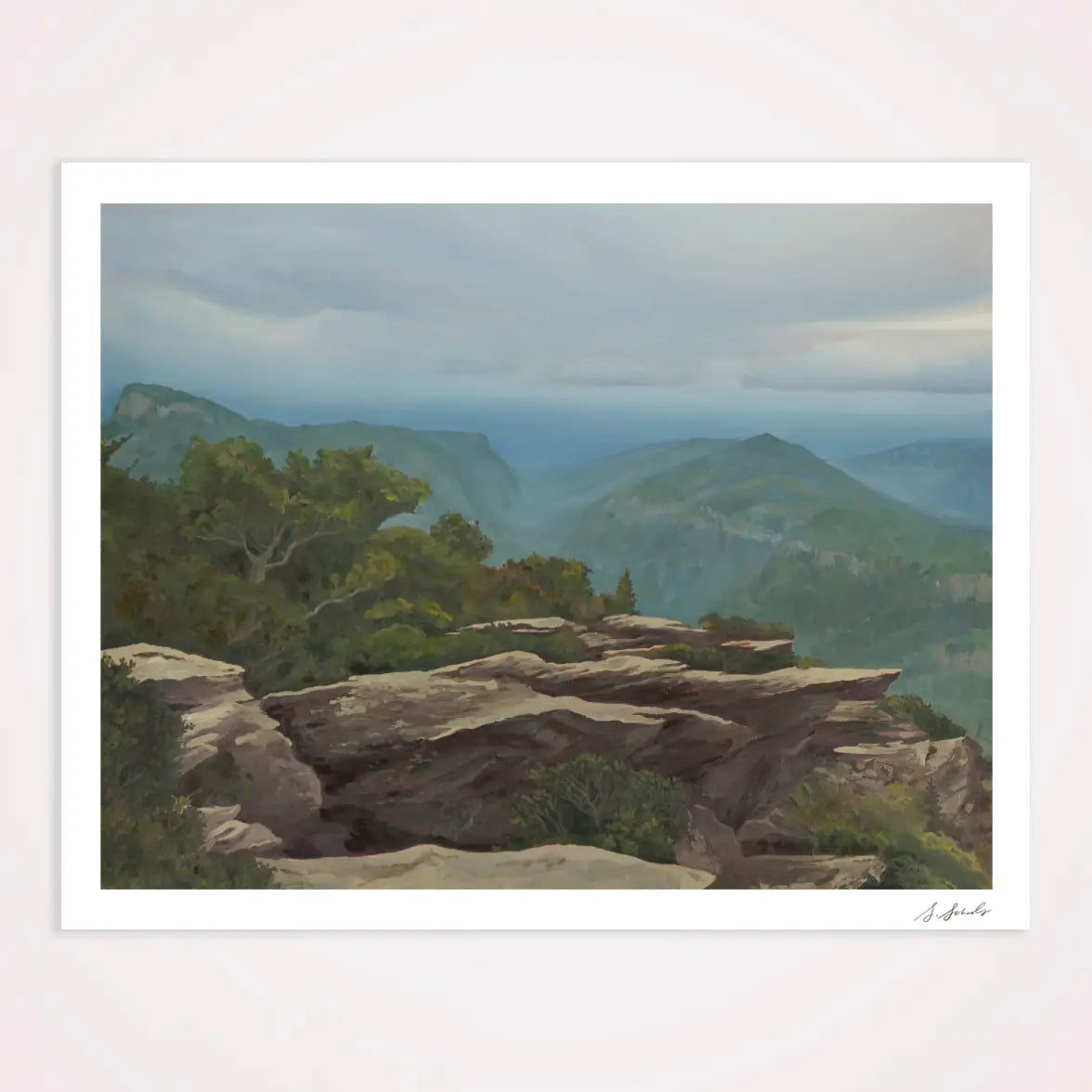 Hawksbill 8" x 10" Print