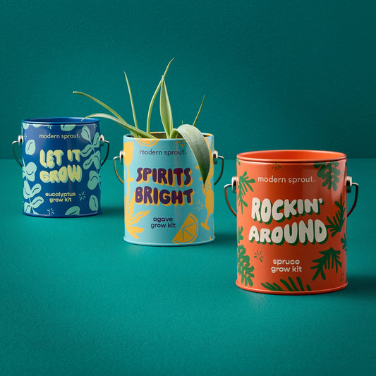 Holiday Half-Pint Can Garden Grow Kit