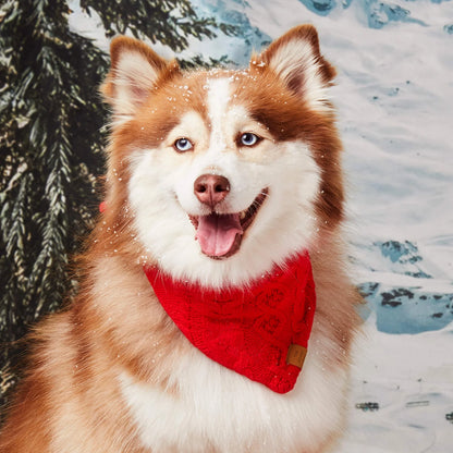 Red Cable Knit Holiday Dog Bandana