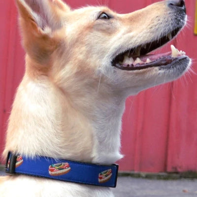 Hot Dog Pet Collar