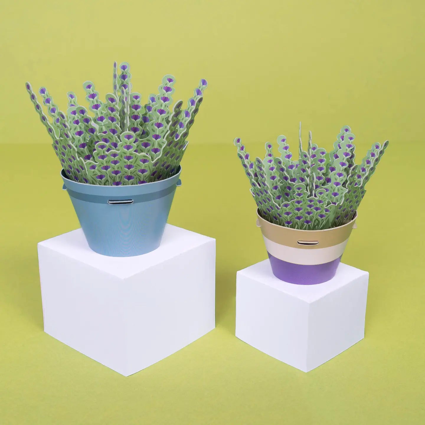 Mini Plant DIY Paper Craft Kit