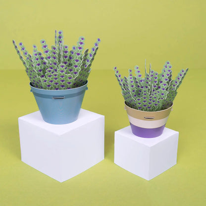 Mini Plant DIY Paper Craft Kit