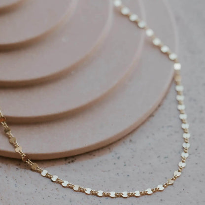 Lenny 14K Gold Choker Necklace