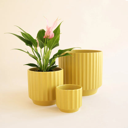 Monroe Ribbed 3" Ceramic Planter