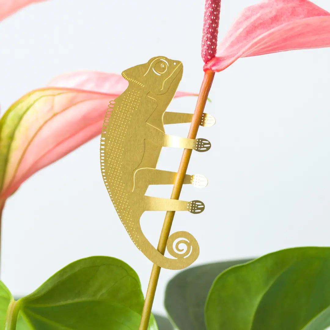 Brass Plant Animal House Plant Jewelry