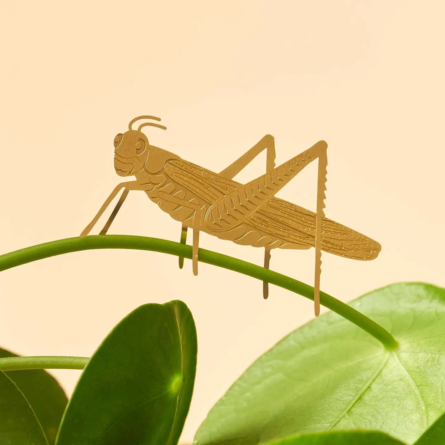 hanging animals for plants Brass Plant Animal House Plant Charm – Neighborly