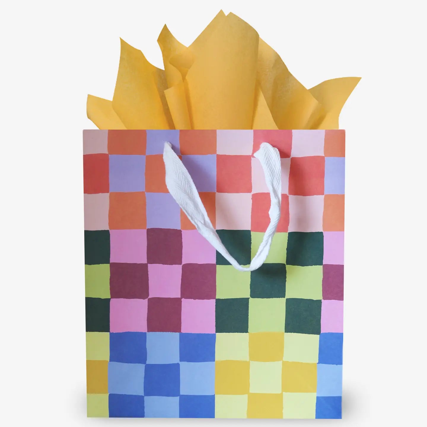 Rainbow Check 8" x 9" Gift Bag