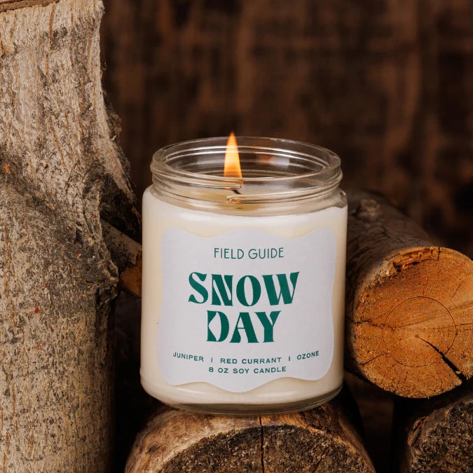 Winter Field Guide Soy Wax Glass Candle