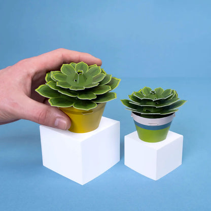 Mini Plant DIY Paper Craft Kit